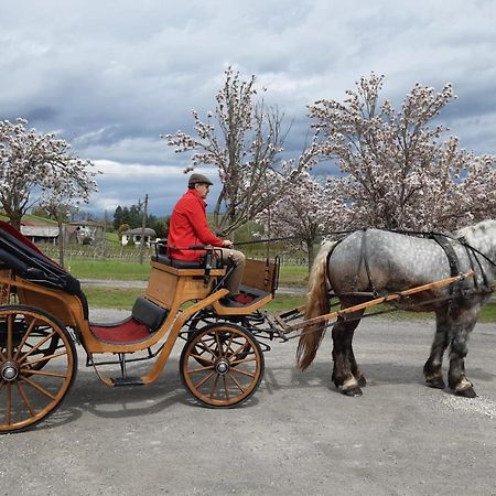 Agriturismo Casa Castellini Garbagna Zewnętrze zdjęcie
